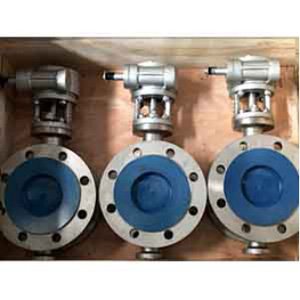 Double Flange Butterfly Valve, A351 CF8, PN20, DN100