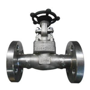 A182 F304L Gate Valve, 3/4 Inch, Class 600 LB, Flanged Ends